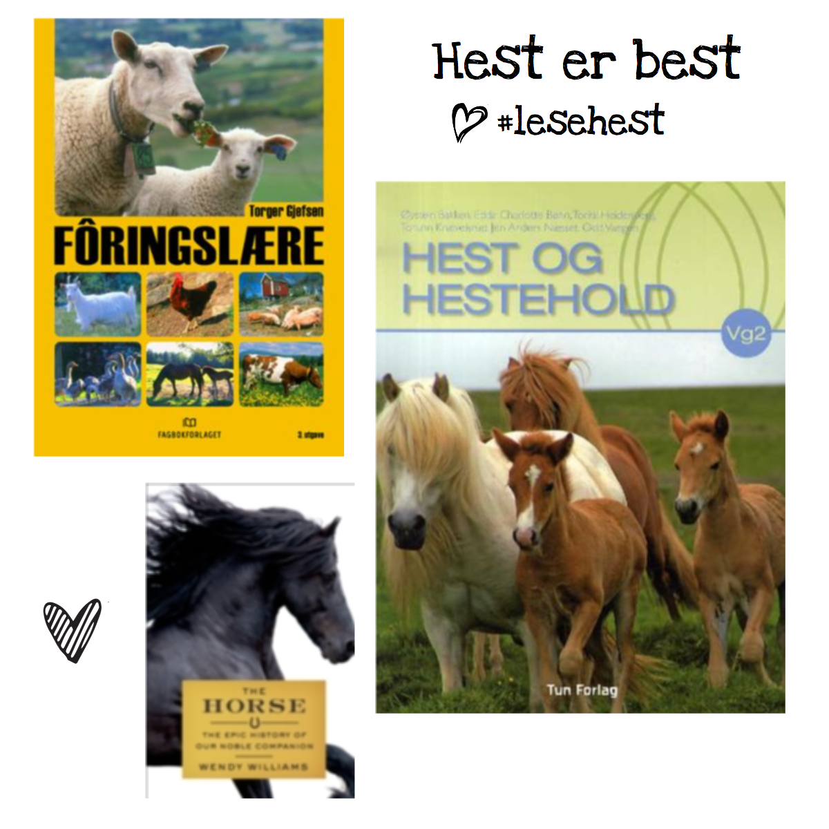 Hva Betyr Dog På Norsk